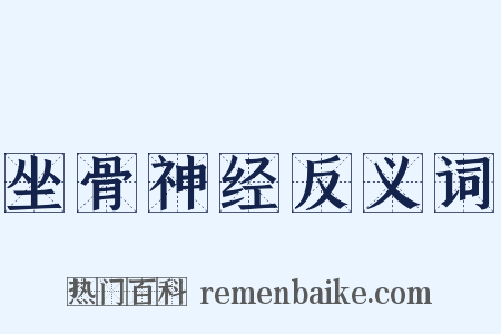 坐骨神经反义词是什么意思的图片